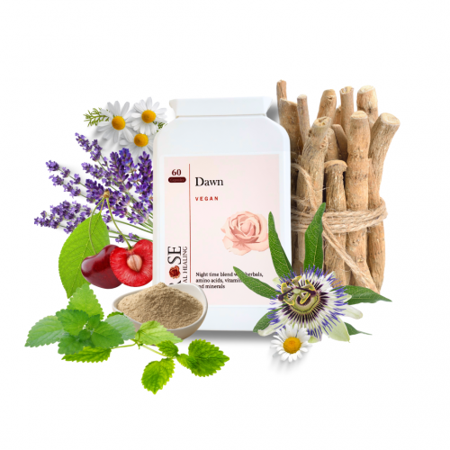Dawn:       Calm & Relax