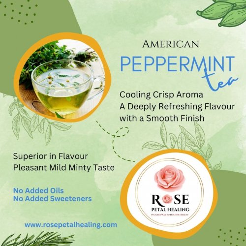 American Peppermint   Caffeine Free