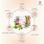 Dawn:       Calm &amp; Relax