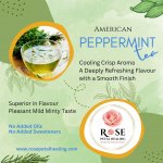 American Peppermint   Caffeine Free