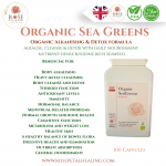 Organic Sea Greens 
